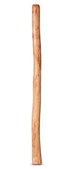 Medium Size Natural Finish Didgeridoo (TW455)